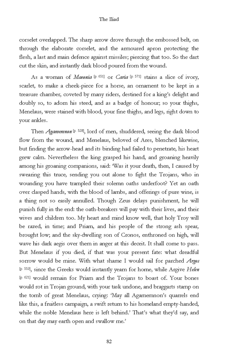 The Iliad - Page 76